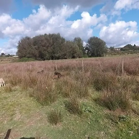 Holiday park Casa Da Avo Miquinhas Pacos de Ferreira