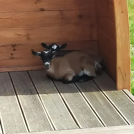 Holiday park Casa Da Avo Miquinhas Pacos de Ferreira