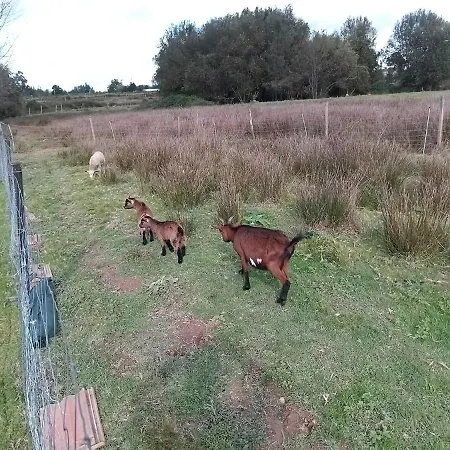 Casa Da Avo Miquinhas * Pacos de Ferreira