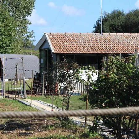 منتزه العطل Casa Da Avo Miquinhas باسوش دي فيريرا