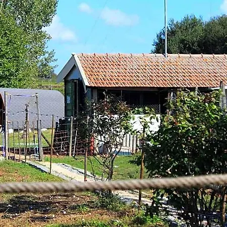 ホリデーパーク Casa Da Avo Miquinhas パーソス・デ・フェレイラ