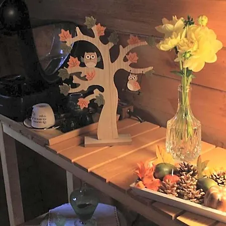 ホリデーパーク Casa Da Avo Miquinhas