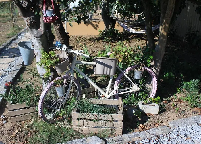 Casa Da Avo Miquinhas Pacos de Ferreira