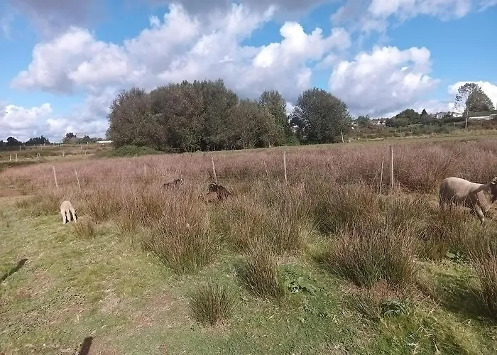 Parco vacanze Casa Da Avo Miquinhas Pacos de Ferreira