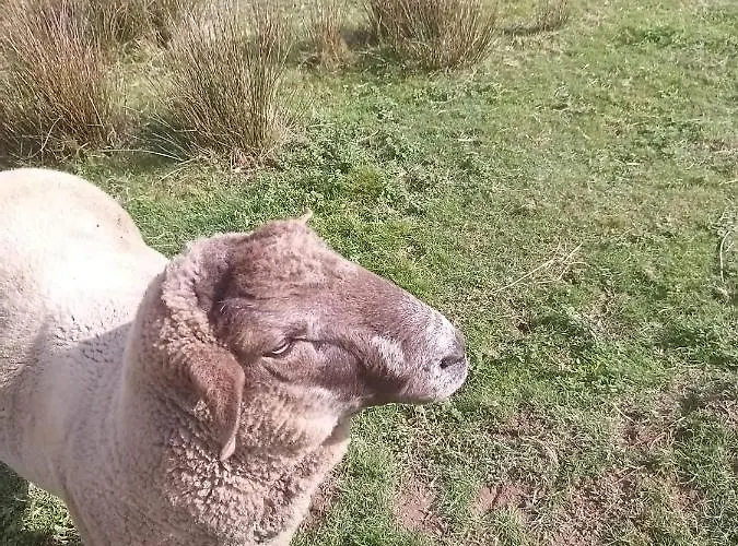 Casa Da Avo Miquinhas Parco vacanze *
