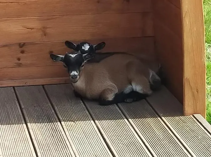 Holiday park Casa Da Avo Miquinhas Pacos de Ferreira