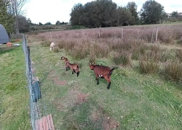 Casa Da Avo Miquinhas * Pacos de Ferreira