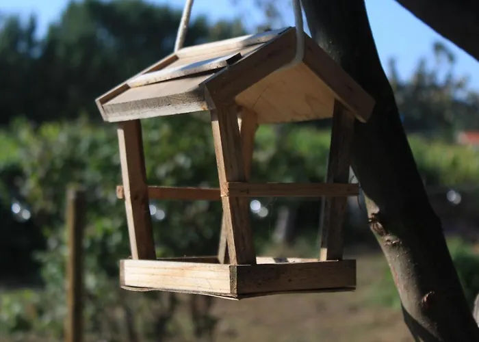 Parco vacanze Casa Da Avo Miquinhas