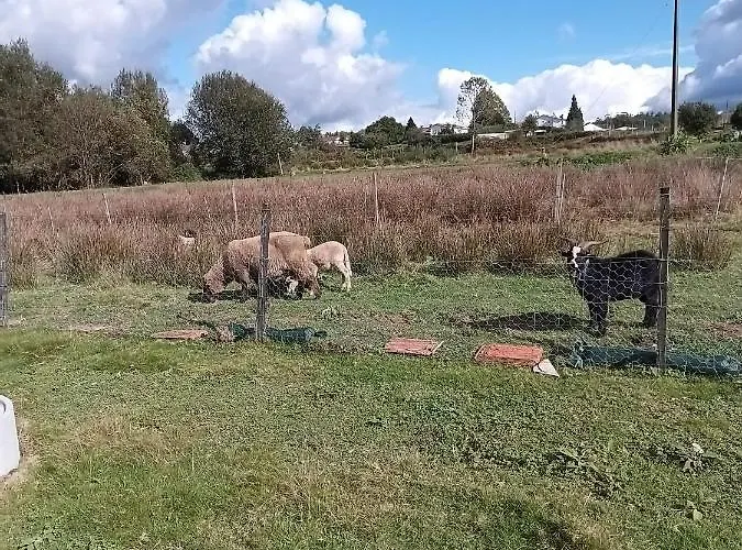 Casa Da Avo Miquinhas Holiday park