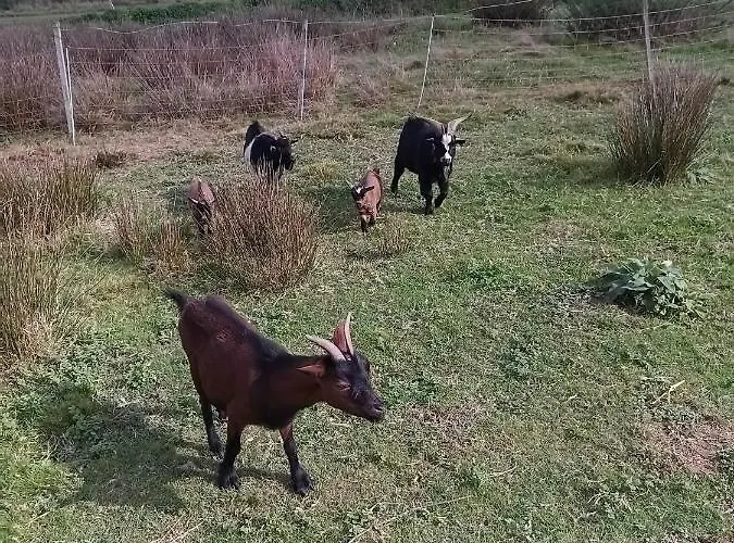 Casa Da Avo Miquinhas Parco vacanze *