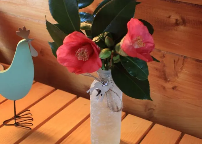 Casa Da Avo Miquinhas Pacos de Ferreira